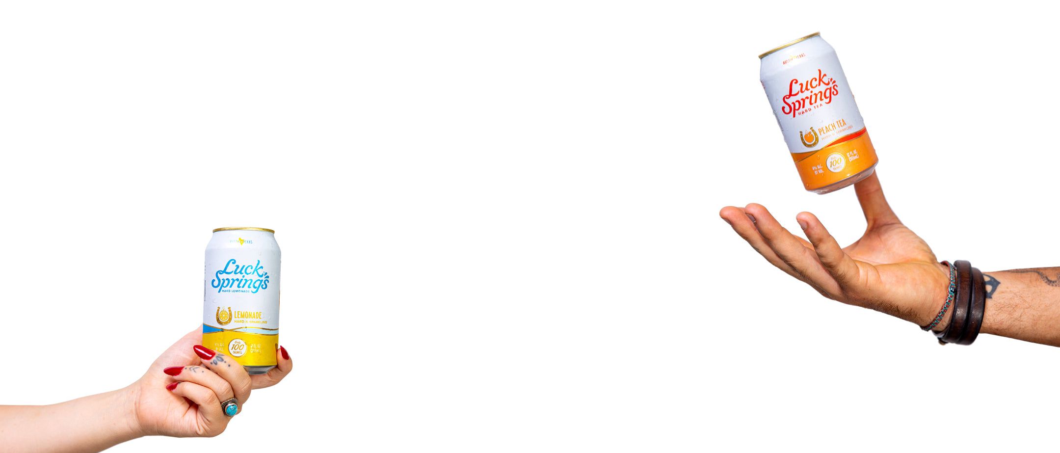 DISCOVER THE WATERING HOLE